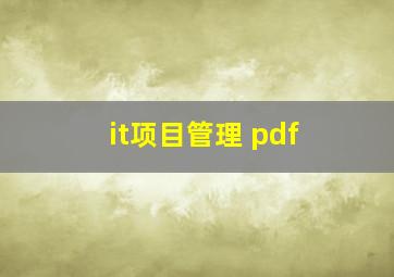 it项目管理 pdf